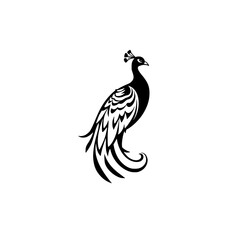 Fototapeta premium Elegant Peacock Silhouette: Black and White Bird Design. Perfect for nature lovers, art enthusiasts, and home decor. A stunning avian illustration.