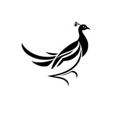 Elegant Peacock Bird: Abstract Black and White Feather Design, Nature Wildlife Symbol, Graphic Art, Vector Illustration