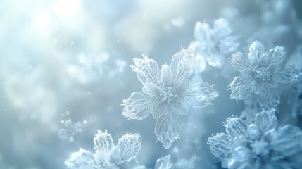 Delicate Frosted Flowers in Soft Light