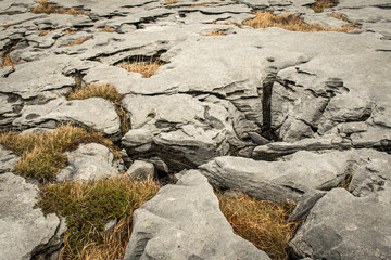dry stone desert