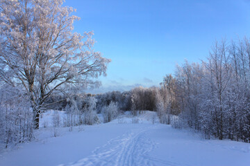 the road through the snow going into the distance. winter landscape