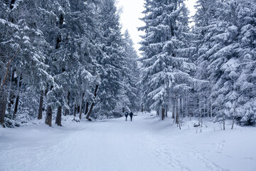 Karkonosze National Park in winter, Poland