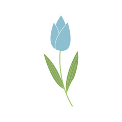 Cute blue tulip hand drawn illustration. Hand drawn spring wildflower on white background. Botanical clipart for collage, print, Decor and greeting card
