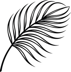 Obraz premium Elegant Black and White Single Feather Line Art Design