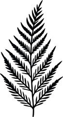 Elegant Black and White Fern Leaf Botanical Illustration