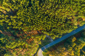 steep curve on a mountain road covered by a pine forest, aerial view with drone at sundown.