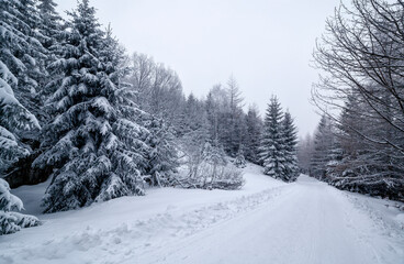 Karkonosze National Park in winter, Poland