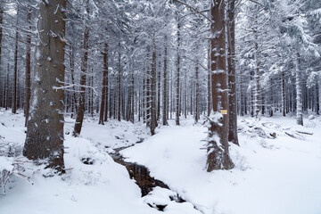 Fototapeta premium Karkonosze National Park in winter, Poland