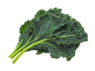 Fresh kale leaf with rich texture isolated on transparent background, detailed high-resolution culinary image 8