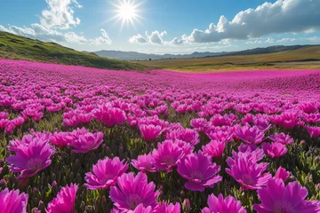 Vast field of vibrant pink flowers under a bright sun in a beautiful natural landscape