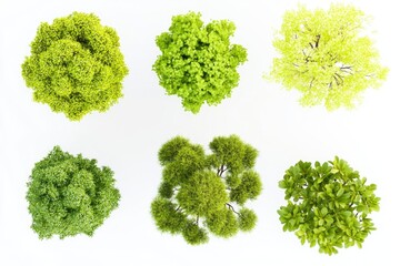 A cluster of trees standing close together