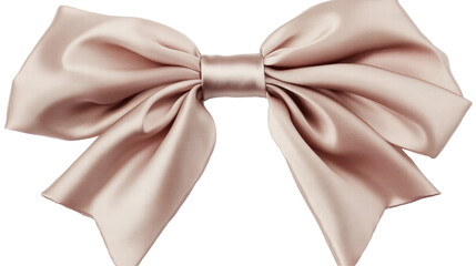 Isolated Soft Pink Silk Bow
