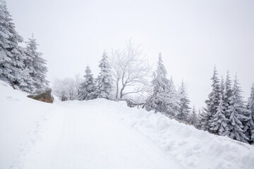 Karkonosze National Park in winter, Poland