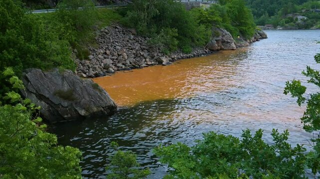 Red algae floating in a small bay