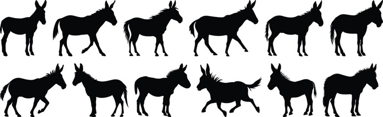 Donkey silhouettes set, animal pack of vector silhouette design, isolated background