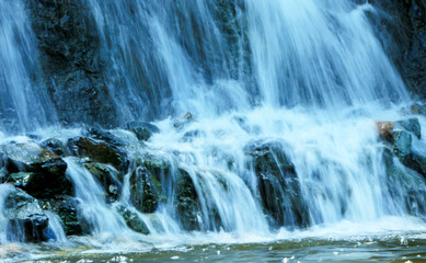 Fototapeta premium waterfall in the forest