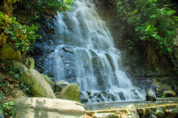 Obraz premium waterfall in the park