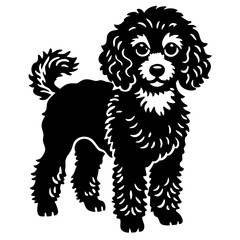 poodle dog black silhouette vector, Simple silhouette Design vector icon with white background. Puppy vector, Baby dog 