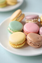 Fototapeta premium Bright pastel macarons on a white plate - close-up for a banner dedicated to gourmet desserts, pastries, food photography and sweet treats.