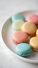 Bright pastel macarons on a white plate - close-up for a banner dedicated to gourmet desserts, pastries, food photography and sweet treats.