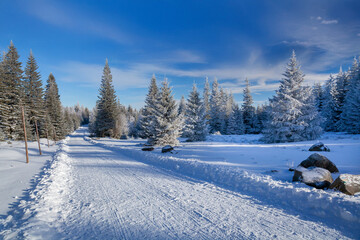 Obraz premium Karkonosze National Park on a clear day in winter, Poland