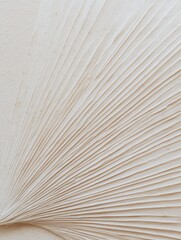 Close-up neutral beige color dry nature plant texture with delicate lines resembling palm tree foliage  - aesthetic brand graphic website design background for social media content marketing