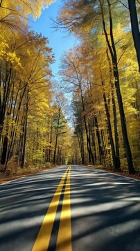 A scenic forest road lined with stunning autumn trees under a blue sky
