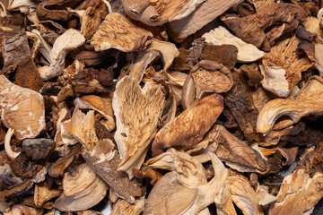 Assorted dried mushrooms in detailed view. Detailed view of natural dried mushrooms, emphasizing their folds, ridges, and organic textures.