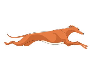 Greyhound dog jumping icon. Silhouette of a leaping greyhound, isolated on white. Sleek and dynamic design for racing, pet, or athletic.