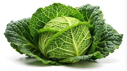 Obraz premium Savoy Cabbage on White Background