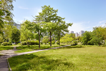 Walkway surrounded by trees and lawns in Kyiv, Europe. Recreation place in the city park