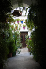 close-up of a street in Vejer de la Frontera - Cádiz ( Spain )
