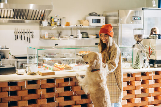 Golden retriever dog standing on hind legs looking at pastry display in cafe with owner