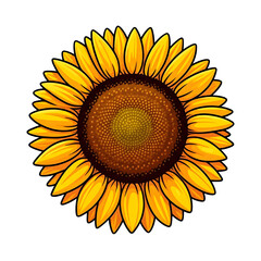 Sunflower PNG