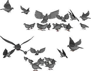 vector illustration design image of a collection of doves flying in the sky looking for food