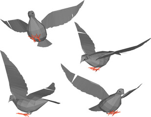 vector illustration design image of a dove flying in the sky