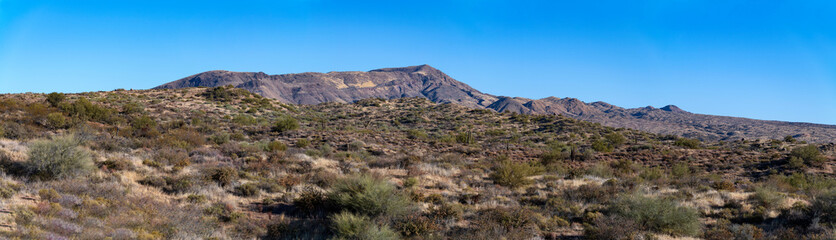 A panoramic picture of the Tonto National Forest in Arizona