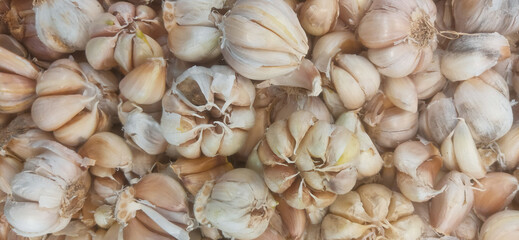 Freshly harvested garlic cloves arranged on a wooden surface showcasing their natural texture and aroma