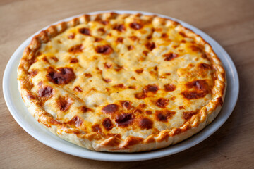 Golden-brown traditional Russian cheese pie served on a white plate, showcasing rich texture and color