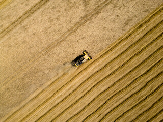Aerial view of a harvester on a wheat field at sunset, The Netherlands