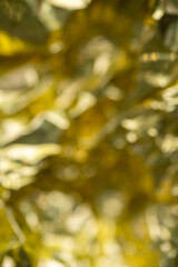 Close up of Gold Foil Material with Multiple Creases