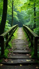 Fototapeta premium Lush moss covers a weathered wooden forest bridge, forest, scenery, ancient