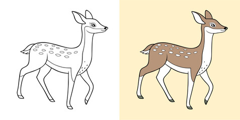 An artistic depiction of a deer showcasing a coloring page version and a fully colored version, illustrating creative potential in wildlife art.