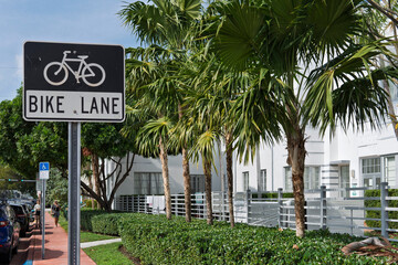 bike lane sign with palm trees
