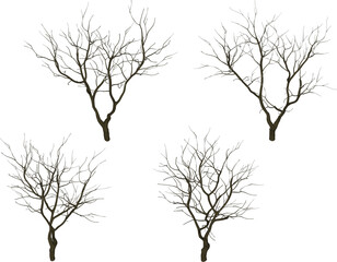 Vector sketch illustration silhouette design of tree plant full of branches without leaves