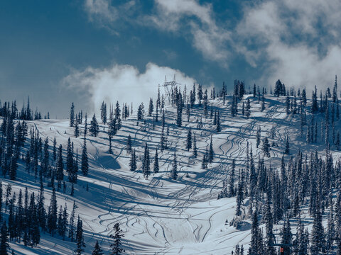 Ski marks through powder