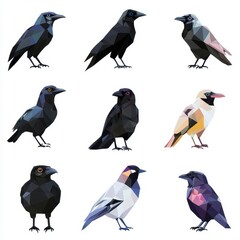 Fototapeta premium Geometric Avian Collection: A striking collection of nine crows and other birds rendered in a minimalist, geometric style.