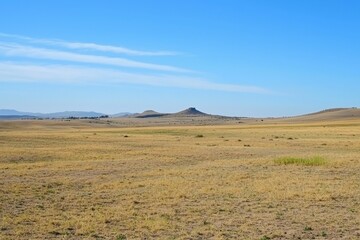 Fototapeta premium A drought affecting agricultural fields, with parched soil and withered crops under a cloudless sky. 