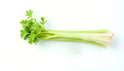 Fototapeta premium Fresh celery stalks on white background
