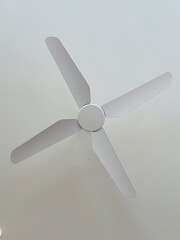 Looking Up at a Ceiling Fan showing Soft Contrast